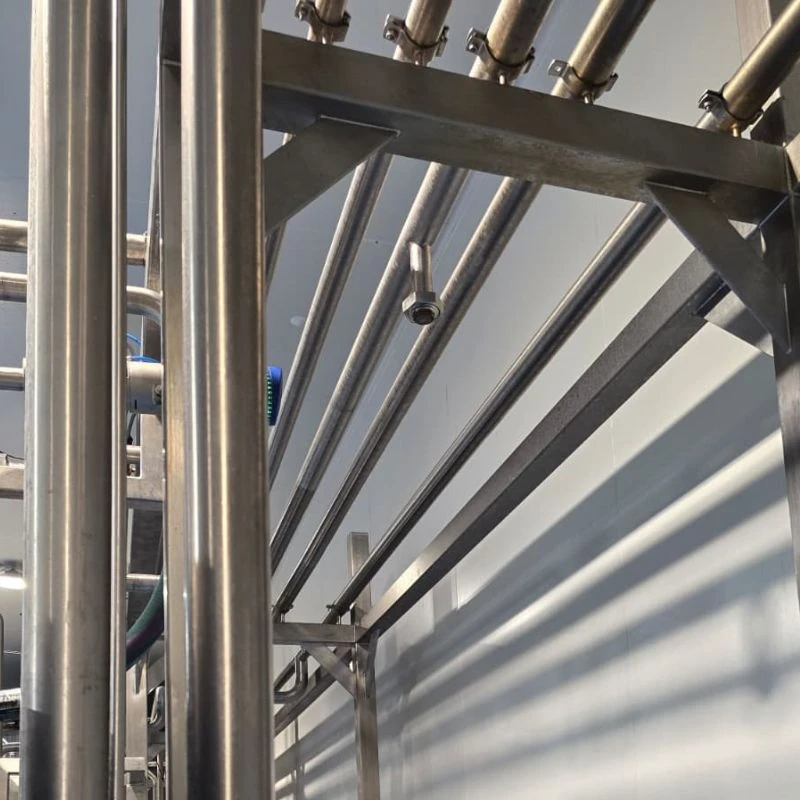 Custom stainless steel product line system in abattoir facility, engineered for hygienic transfer and efficient meat processing flow.